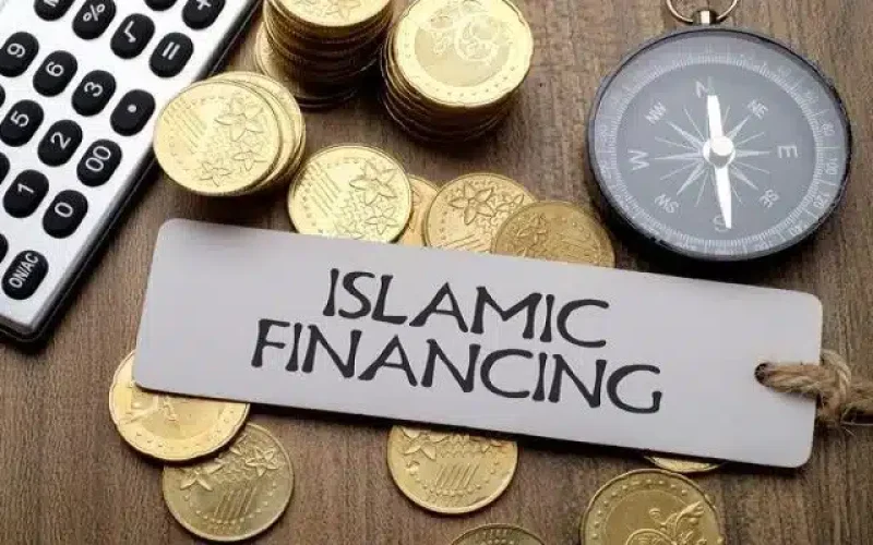 The Nature of Islamic Finance